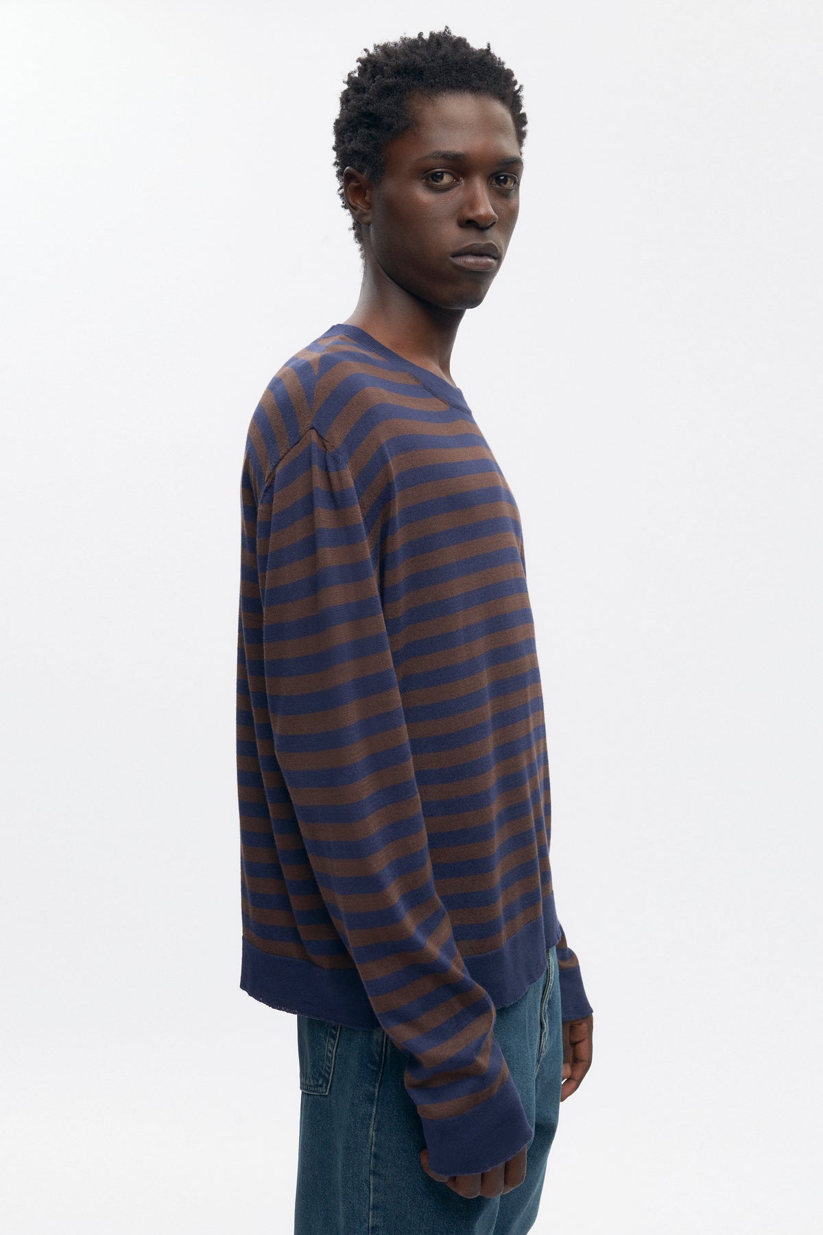 Men's Lightweight Crewneck Sweater in Coffee Bean/Midnight Stripe